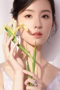Chen Duling