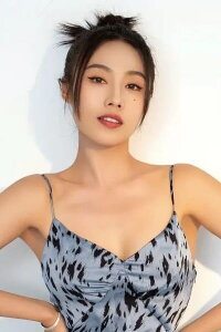 Cheng Qi