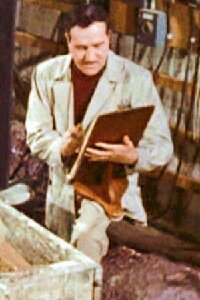 Dan MacManus