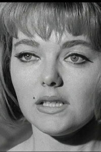 Diane Sayer