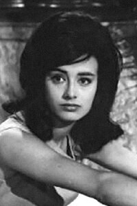 Donatella Turri