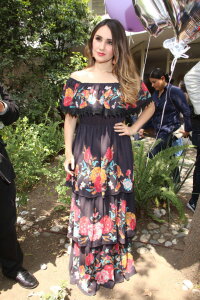 Dulce María