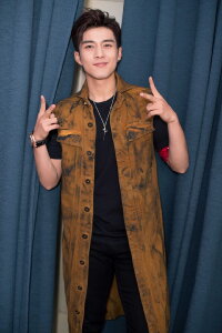 Elvis Han