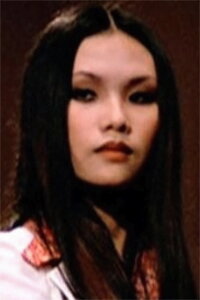 Fan Lei