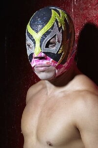 Guerrero Maya Jr