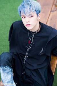 Hansol Vernon Chwe