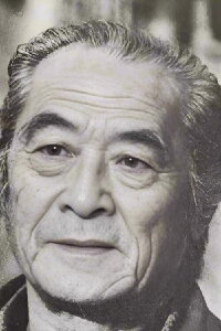 Huang Fei