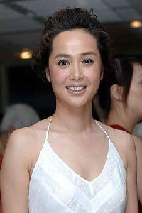 Jiang Wenli