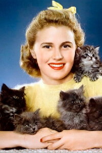 Joan Caulfield