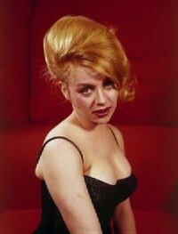 Judy Gringer