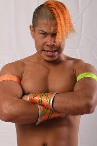 Kota Sekifuda