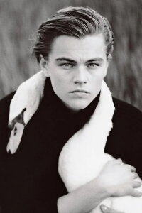Leonardo DiCaprio