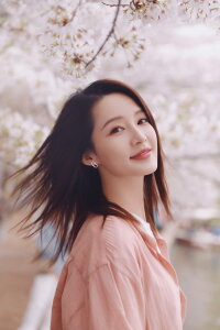 Li Qin