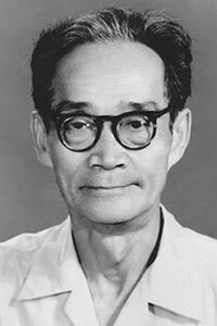 Lin Yi