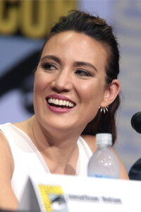 Lisa Joy