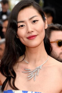 Liu Wen