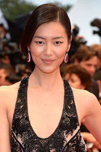 Liu Wen
