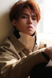 Lu Junjie