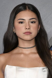 Lumi Pollack