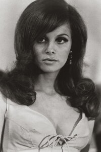 Lynn Loring