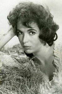 Marla Landi