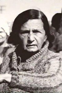 Nadezhda Kosheverova