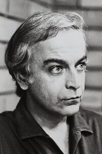 Napoleão Muniz Freire