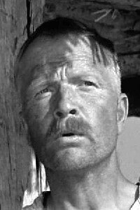 Nikolai Volkov