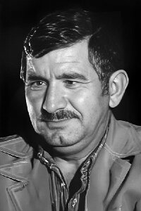 Nizam Ergüden