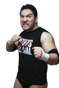 Pedro Aguayo Ramírez