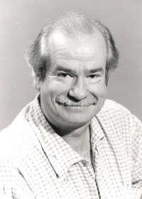 Pierre van Pletzen