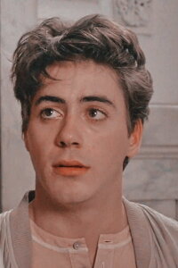 Robert Downey Jr.
