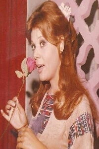 Safaa Abo El Saoud