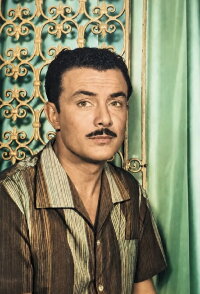 Salah Zulfikar