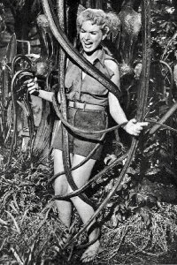 Shirley Patterson