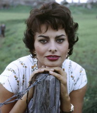 Sophia Loren