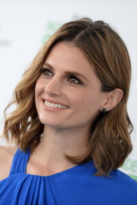 Stana Katic