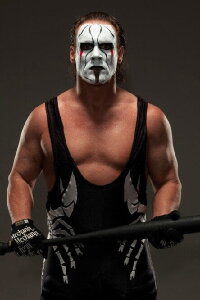 Steve Borden
