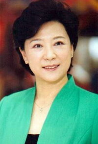 Wang Fuli