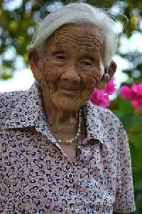 Wei Shaolan