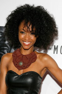 Yaya DaCosta