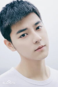 Yuan Zhiying