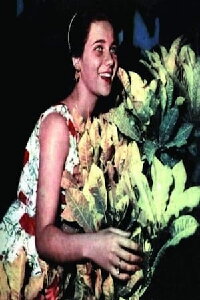 Zubaida Tharwat