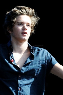Bradley Will Simpson