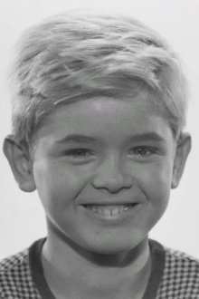 Hartmut Schwerdtfeger