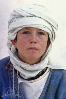 Kelly Reno