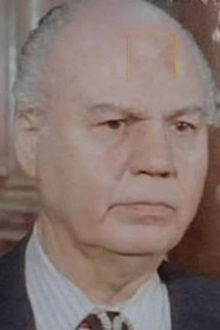 Mostafa Kamal