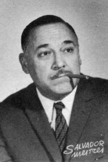 Salvador Mestres