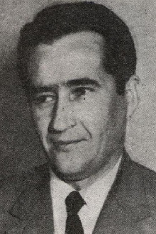 Slavoljub Stefanović-Ravasi