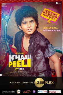 Vedant Desai